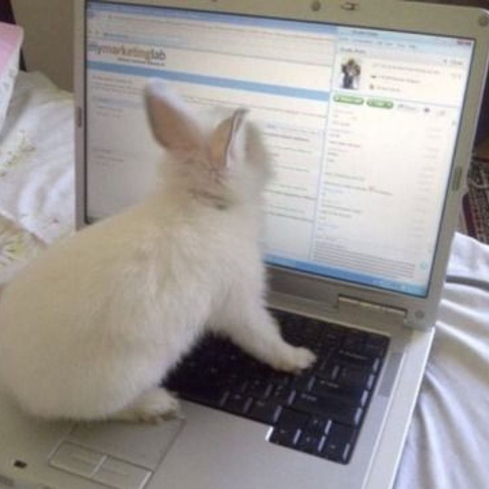 mariiiiiilicious.bsky.social