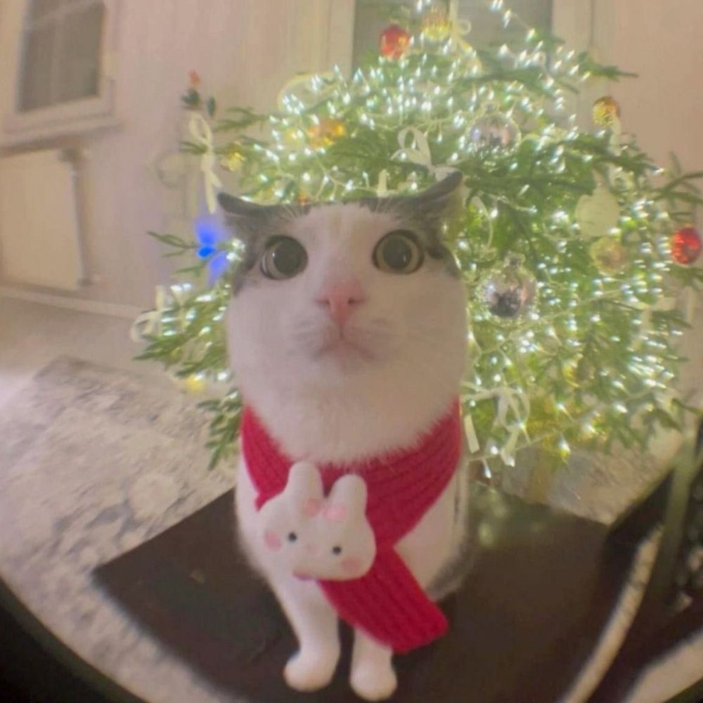 sphericalkat.bsky.social