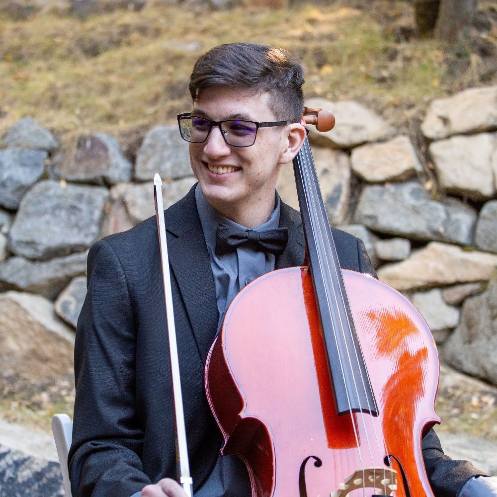 cass.cityboundforest.com