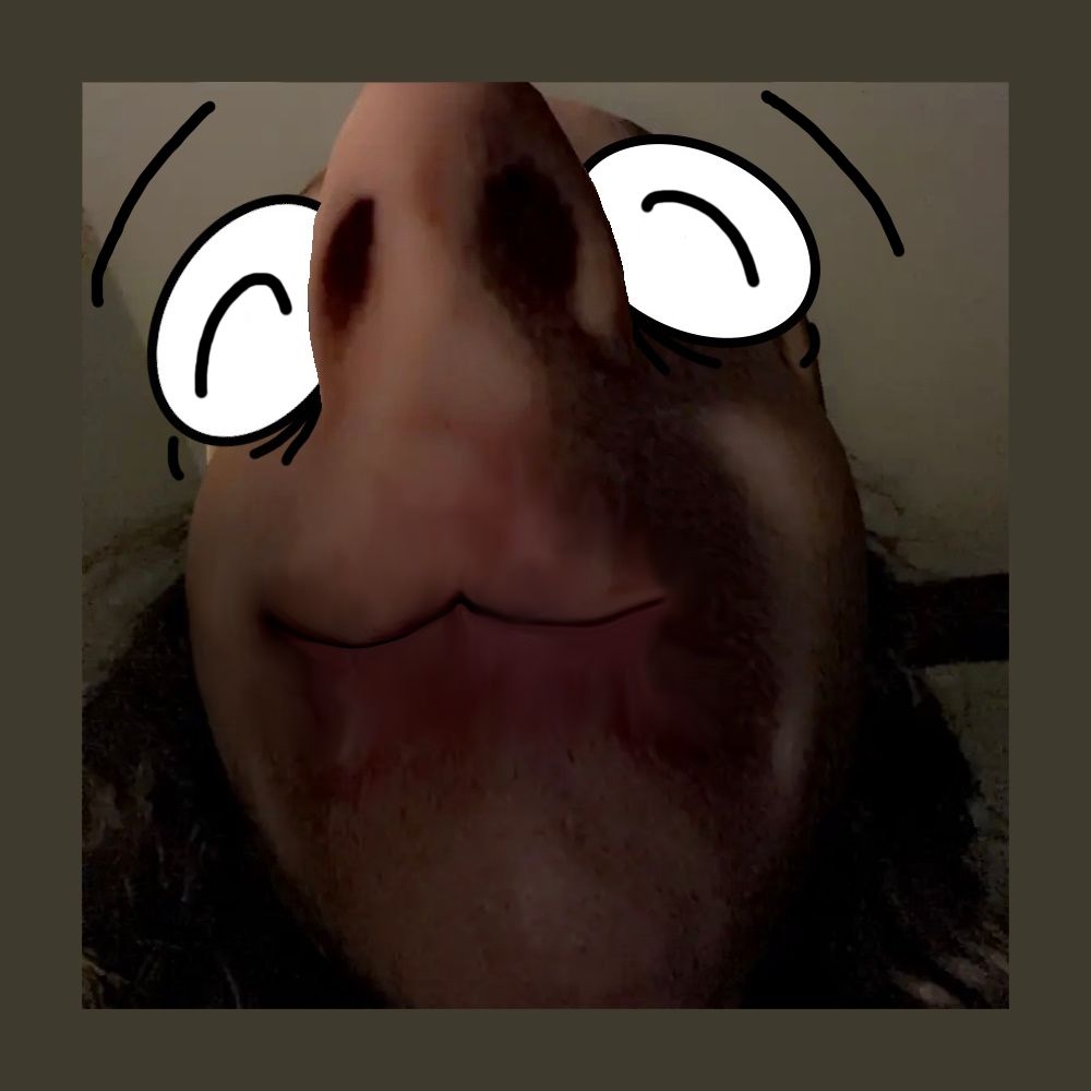 septavelkomozny.bsky.social