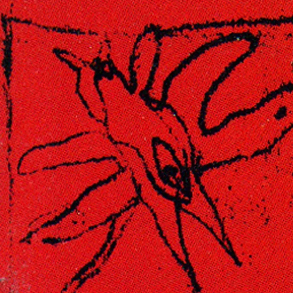 edgy55.selfhosted.social