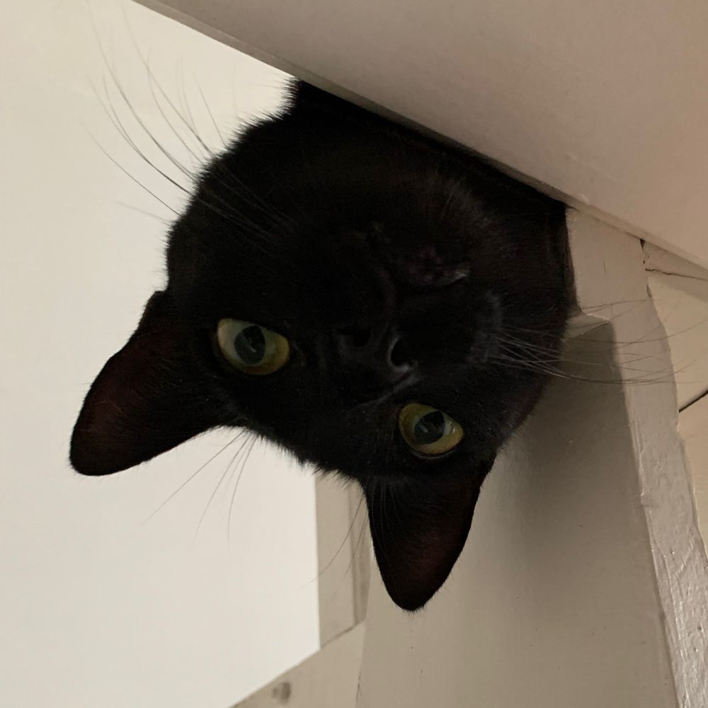 samuelpx.disludo.com.br