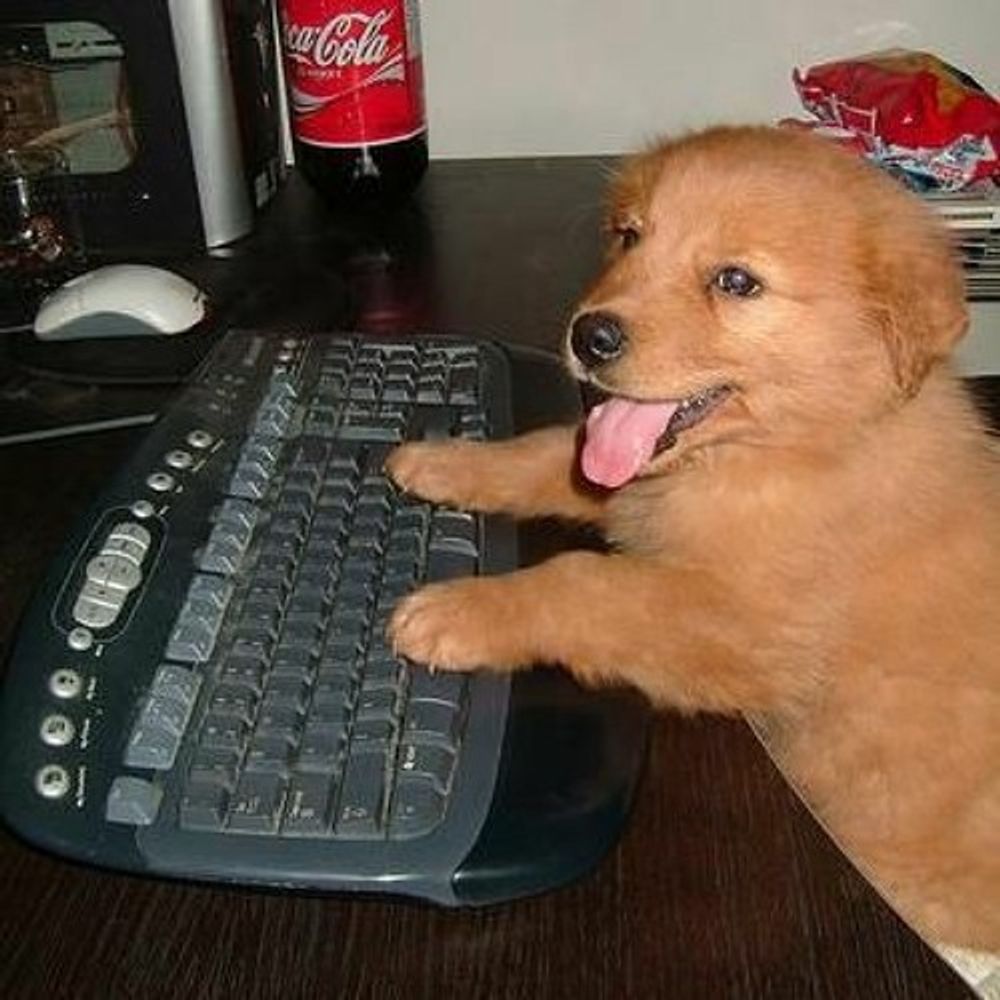 mommysgoodpuppy.petplay.fi