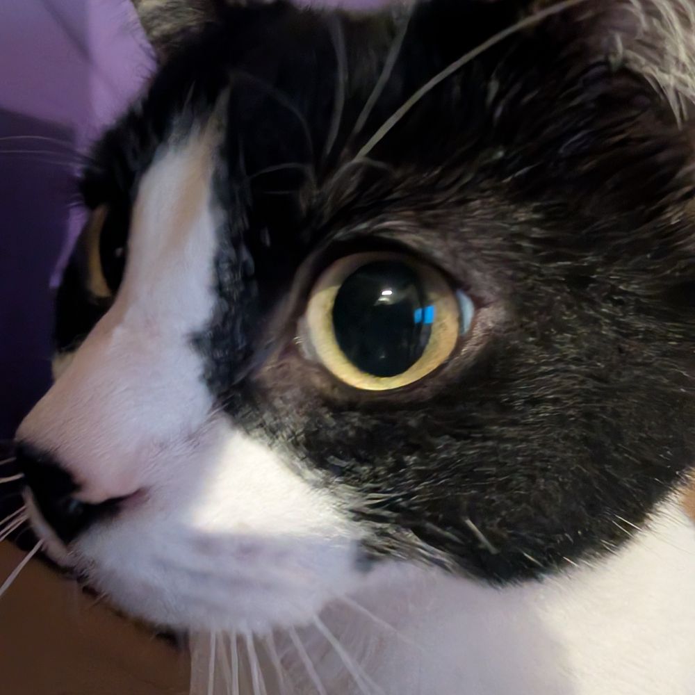 kilroy.bluecanary.dev